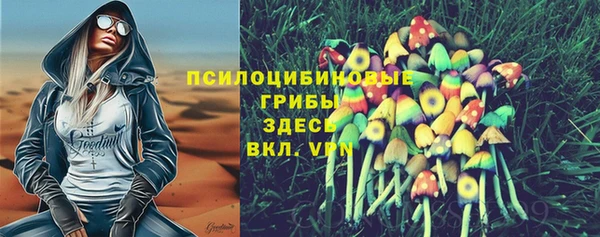 ПСИЛОЦИБИНОВЫЕ ГРИБЫ Богородицк