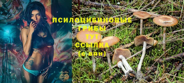 кокс Богданович