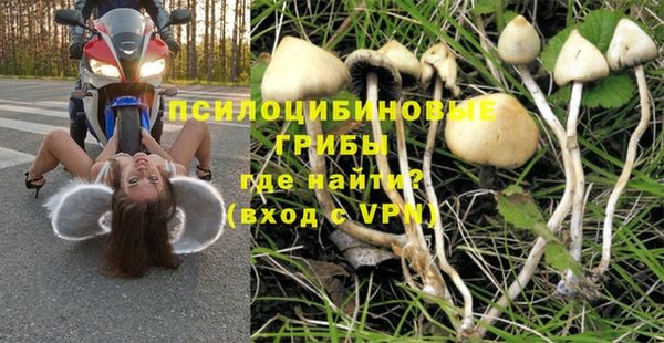 кокс Богданович