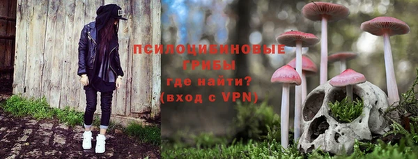 ПСИЛОЦИБИНОВЫЕ ГРИБЫ Богородицк