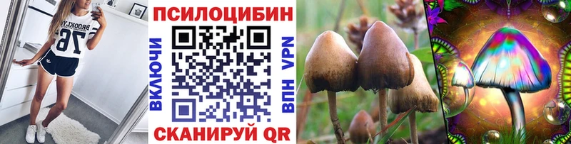 Псилоцибиновые грибы GOLDEN TEACHER  Нерехта 